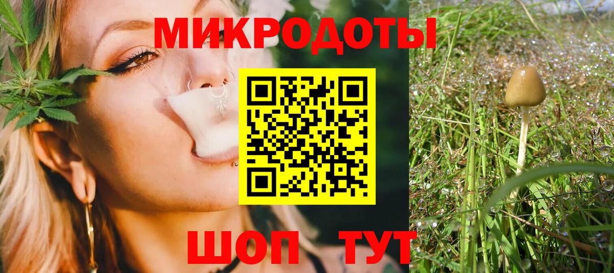 Псилоцибиновые грибы Cubensis Электросталь