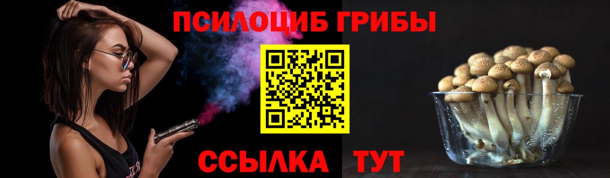 Электросталь  Псилоцибиновые грибы мухоморы  Вход с VPN 